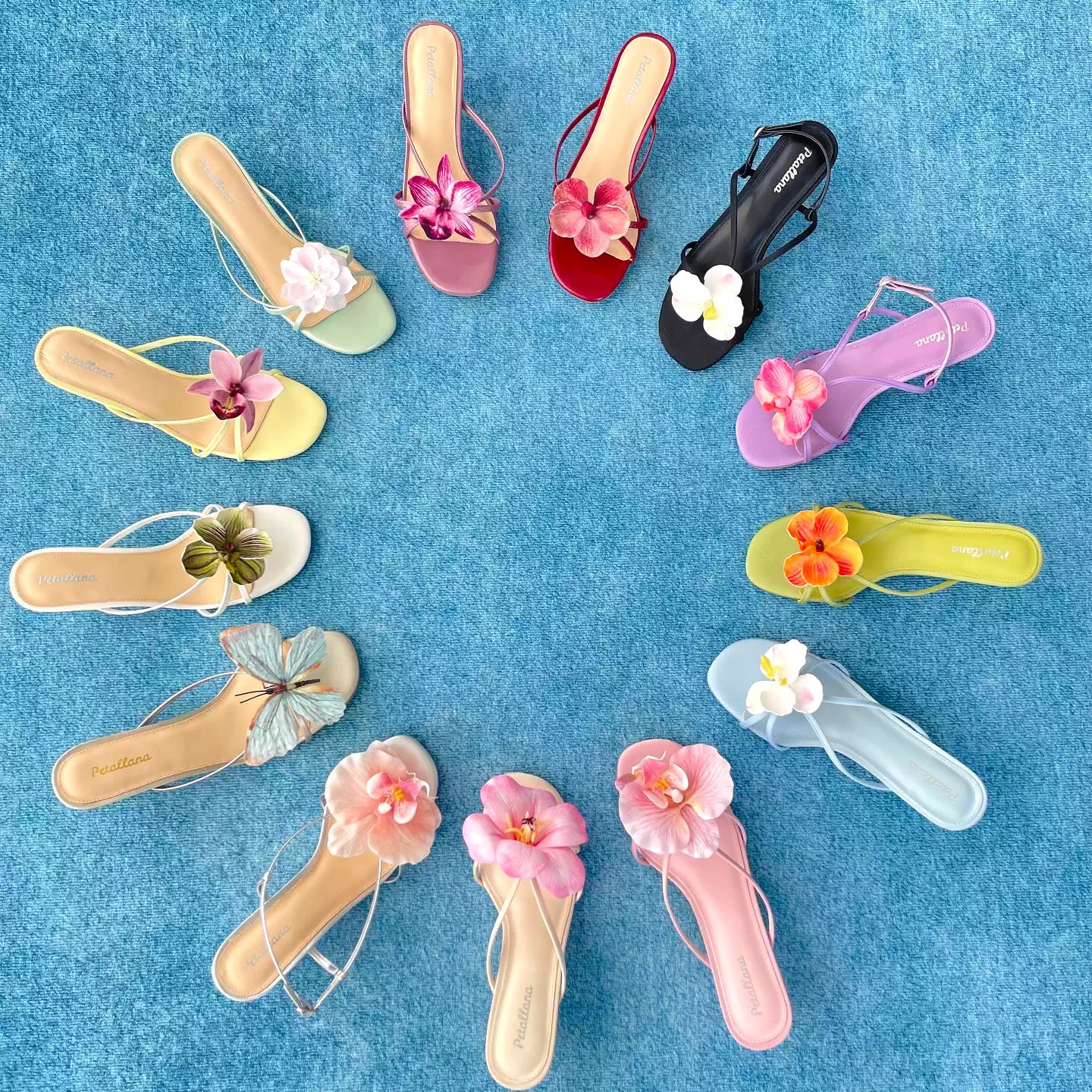 [Petallana] Garden Series Flat 5cm Kitten Heels Sandals with Detachable Flowers - 6 colors (Copy)